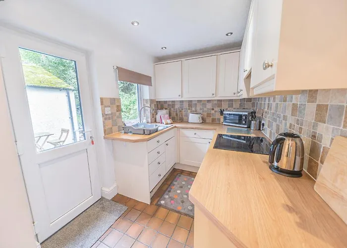 View كونيستون